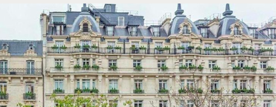 Whose apartment is it in Paris? 